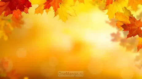Осенний занавес 001