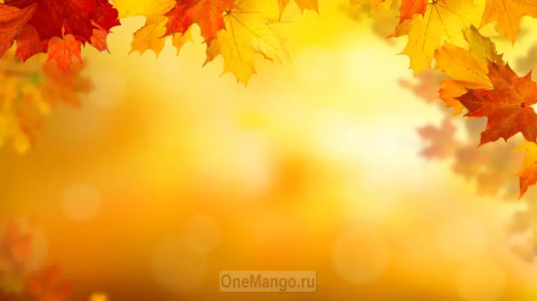 Осенний занавес 001