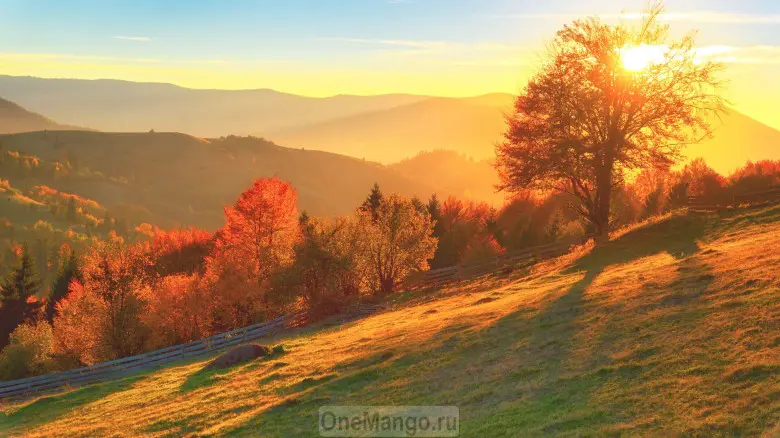 Осенний занавес 003