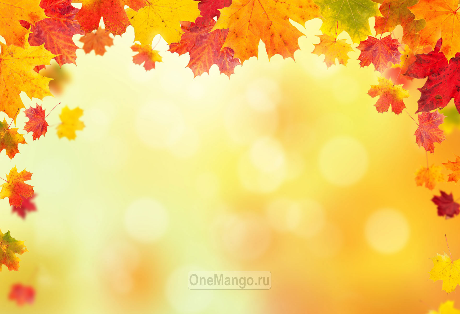 Осенний занавес 036