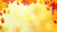 Осенний занавес 036