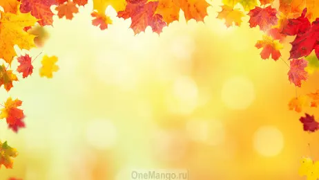 Осенний занавес 036