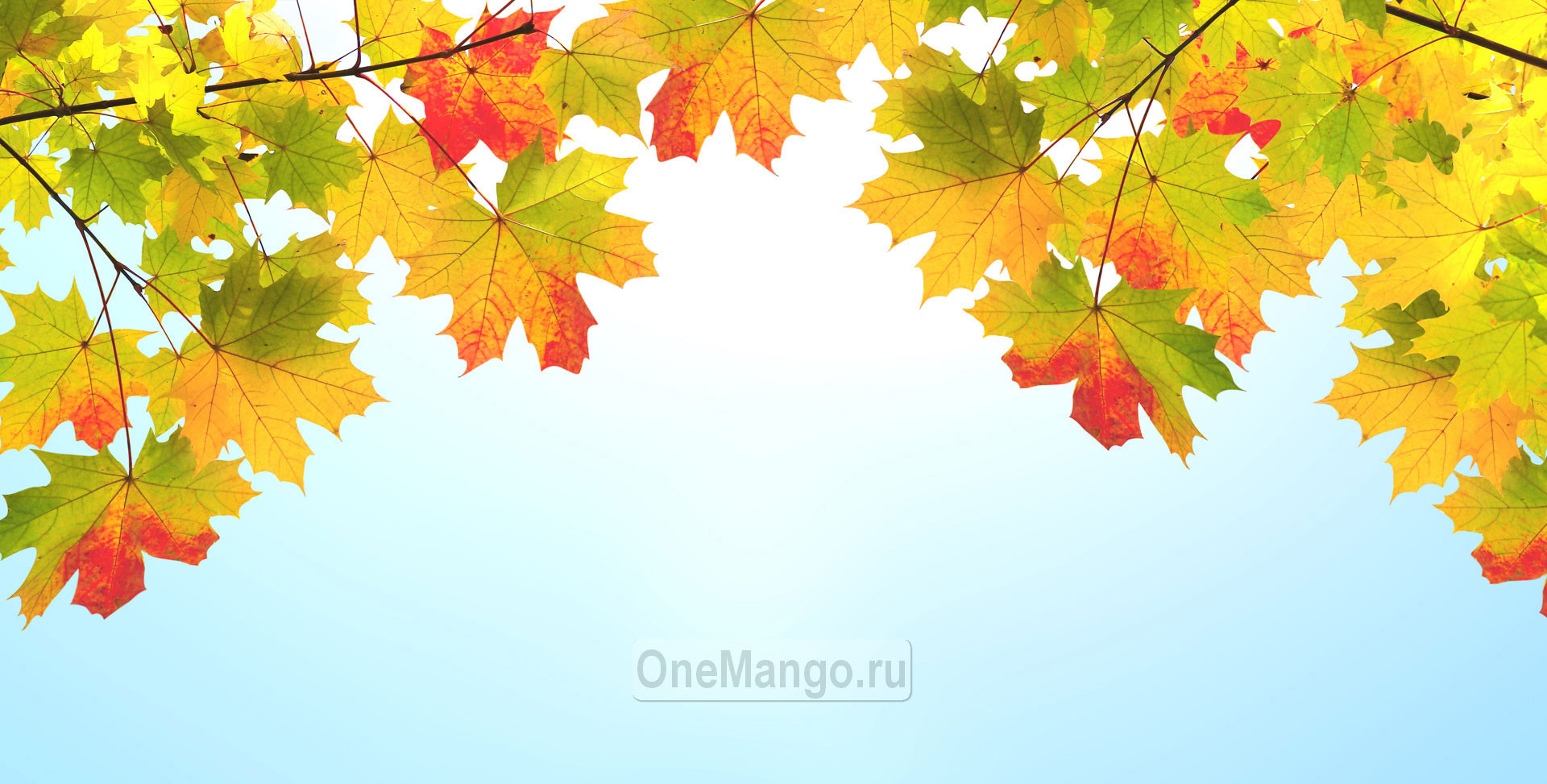 Осенний занавес 064