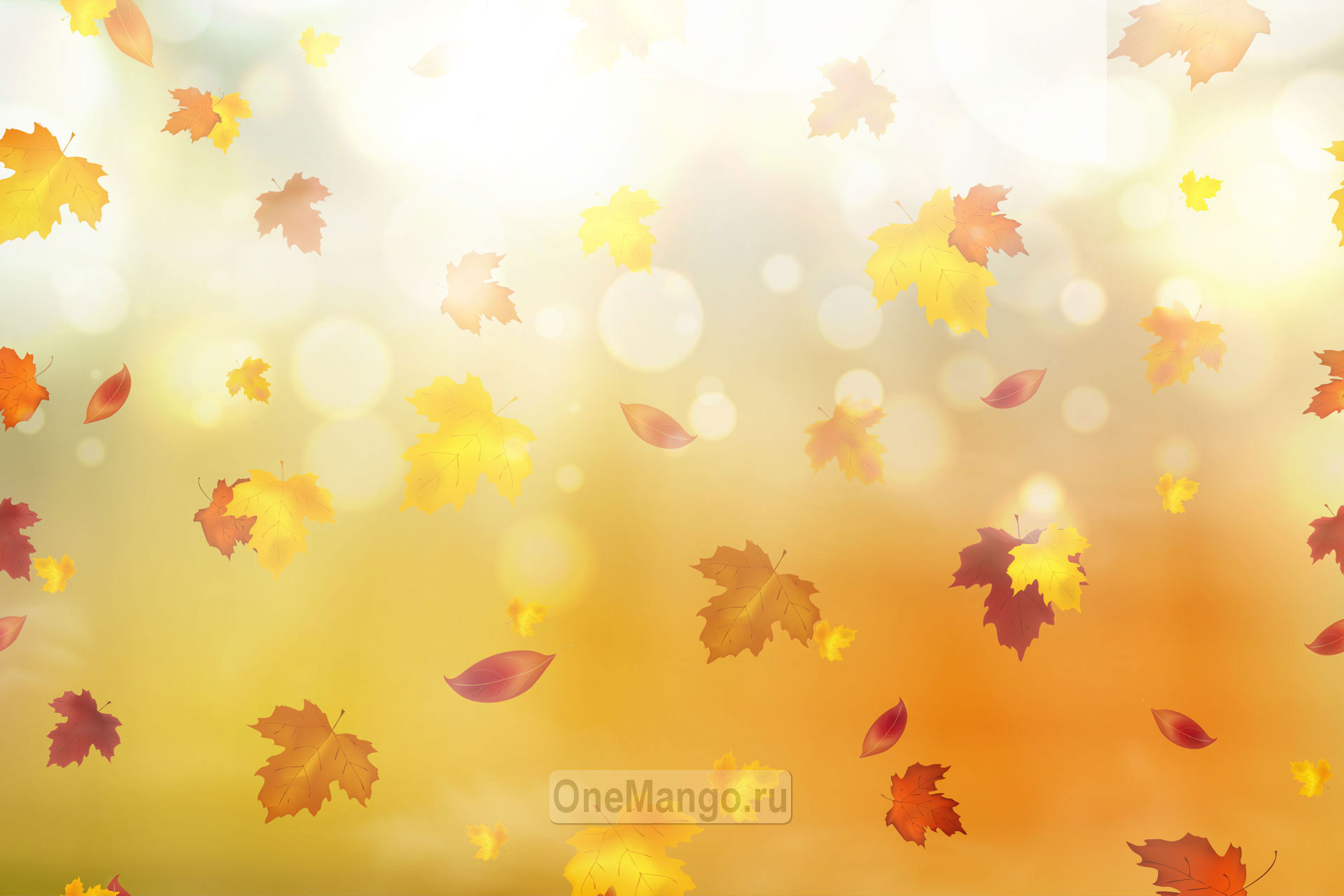 Осенний занавес 075