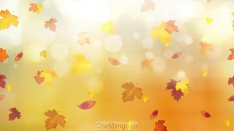 Осенний занавес 075