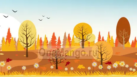 Осенний занавес 078
