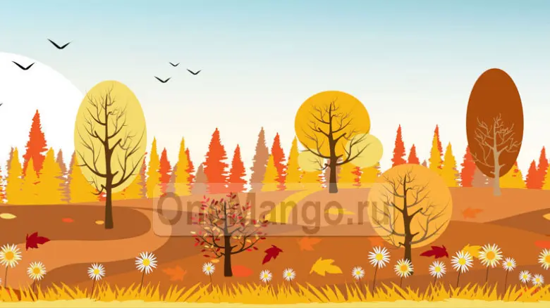 Осенний занавес 078
