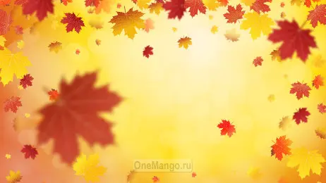 Осенний занавес 101