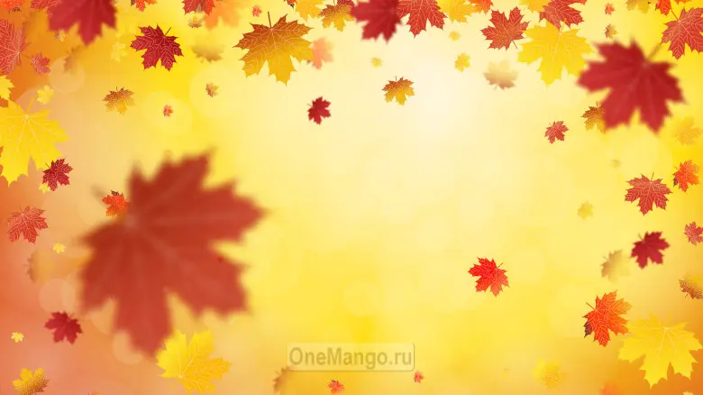Осенний занавес 101