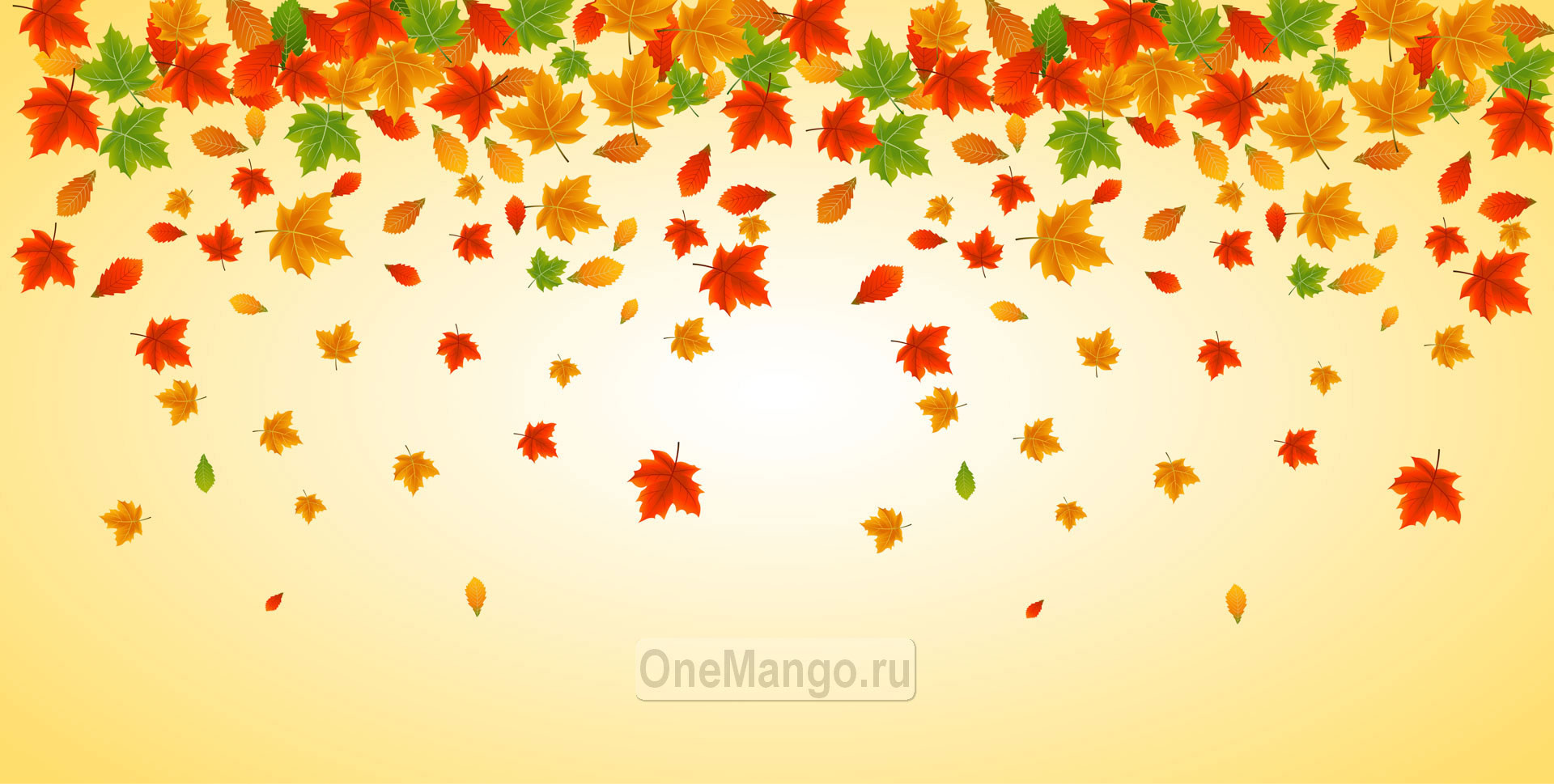 Осенний занавес 119