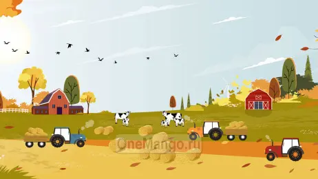 Осенний занавес 148
