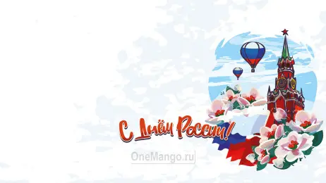 Занавес день России 001