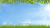 Праздничный фон 025