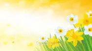 Праздничный фон 053