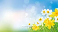 Праздничный фон 054