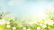 Праздничный фон 106