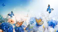 Праздничный фон 118