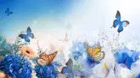 Праздничный фон 118