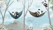 Сказочный занавес 015