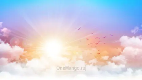 Сказочный занавес 031