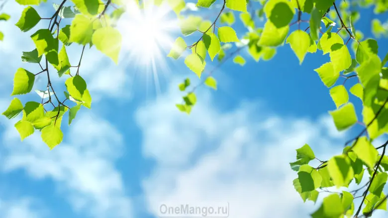 Занавес Весна-Лето 006
