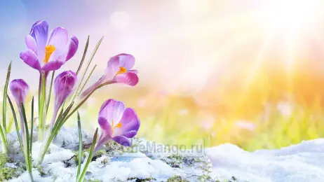 Занавес Весна-Лето 022
