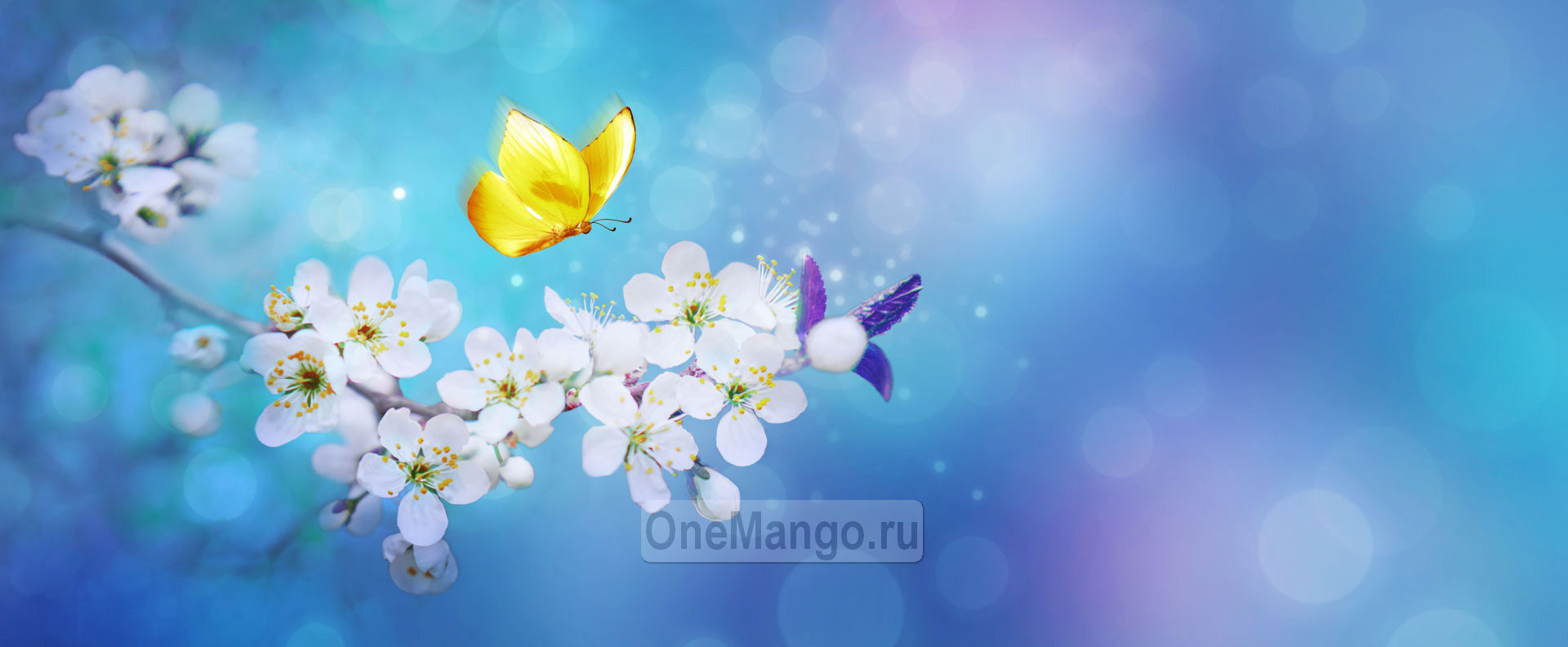 Занавес Весна-Лето 038