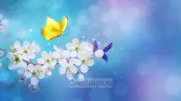 Занавес Весна-Лето 038