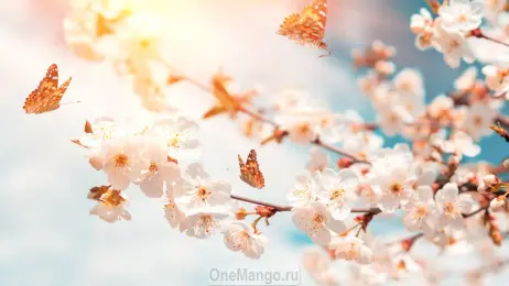 Занавес Весна-Лето 047