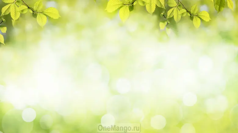 Занавес Весна-Лето 098