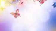 Занавес Весна-Лето 099