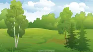 Занавес Весна-Лето 118