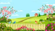 Занавес Весна-Лето 145