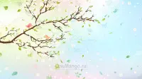 Занавес Весна-Лето 181