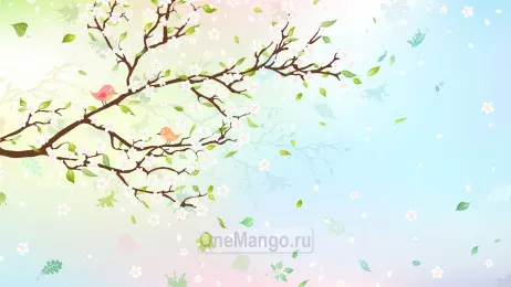 Занавес Весна-Лето 181
