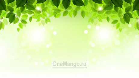 Занавес выпускной в школе 001