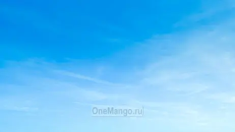 Занавес выпускной в школе 004