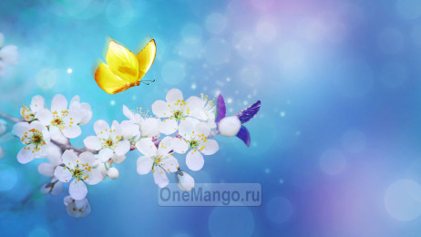 Занавес выпускной в школе 008