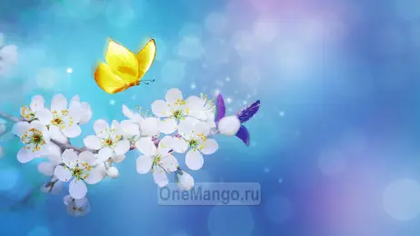 Занавес выпускной в школе 008