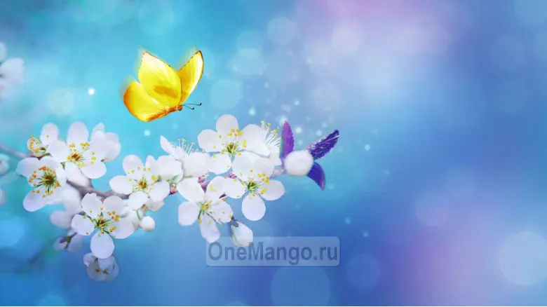 Занавес выпускной в школе 008