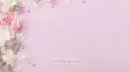 Занавес выпускной в школе 031