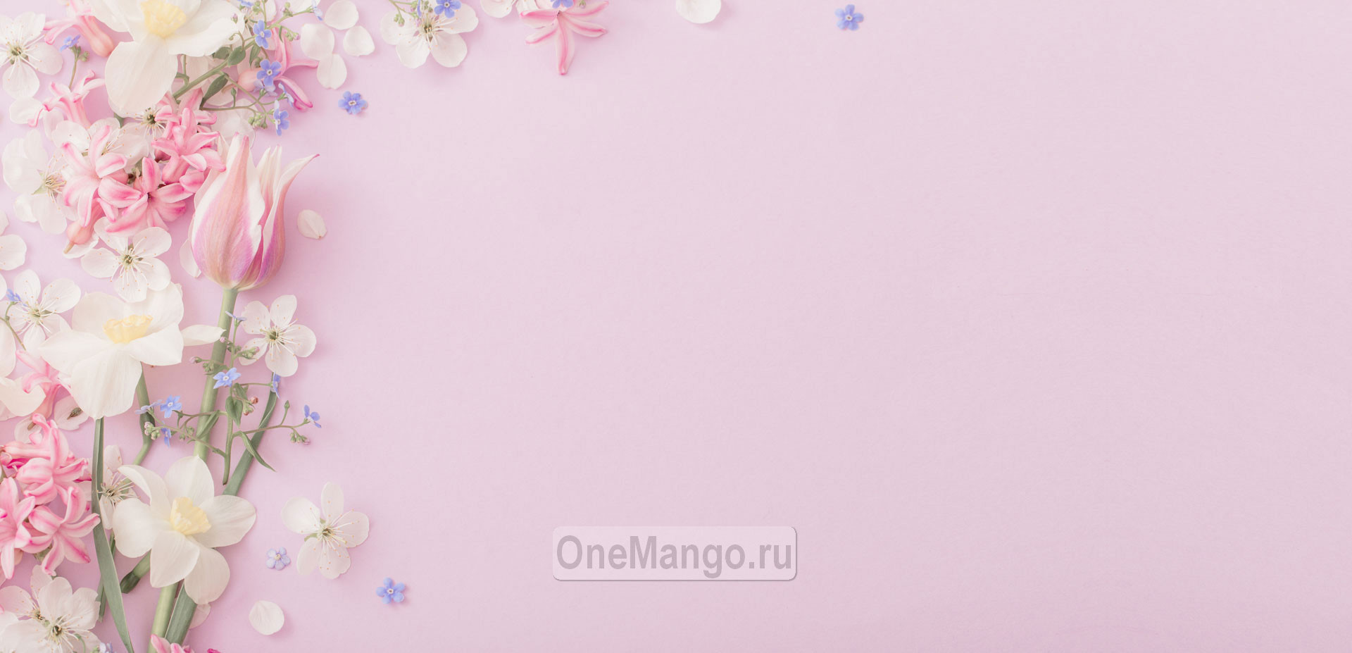 Занавес выпускной в школе 031