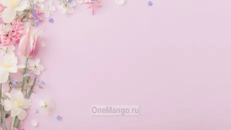 Занавес выпускной в школе 031