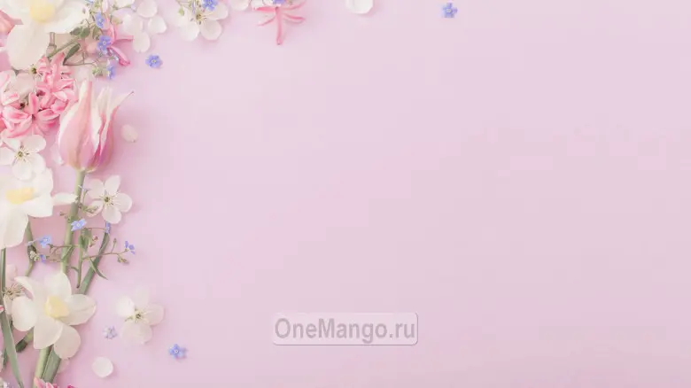 Занавес выпускной в школе 031