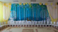 Новогодний занавес 094