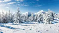 Новогодний занавес 074 (готовый 6х3м)
